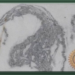 PALM STRIP SANDSTONE RTM