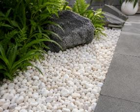 White Timor Pebble