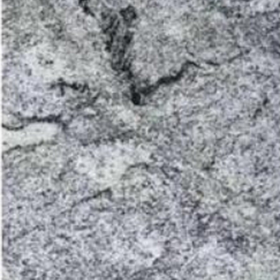 Viscont White Granite