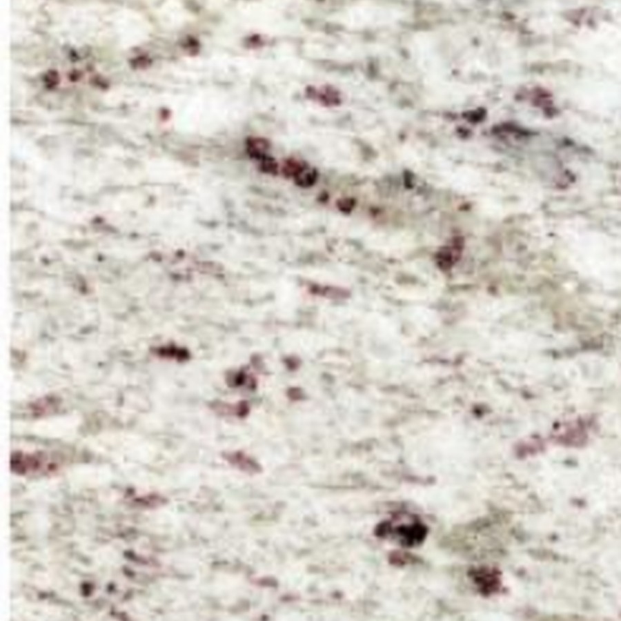 El White Galaxy Granite