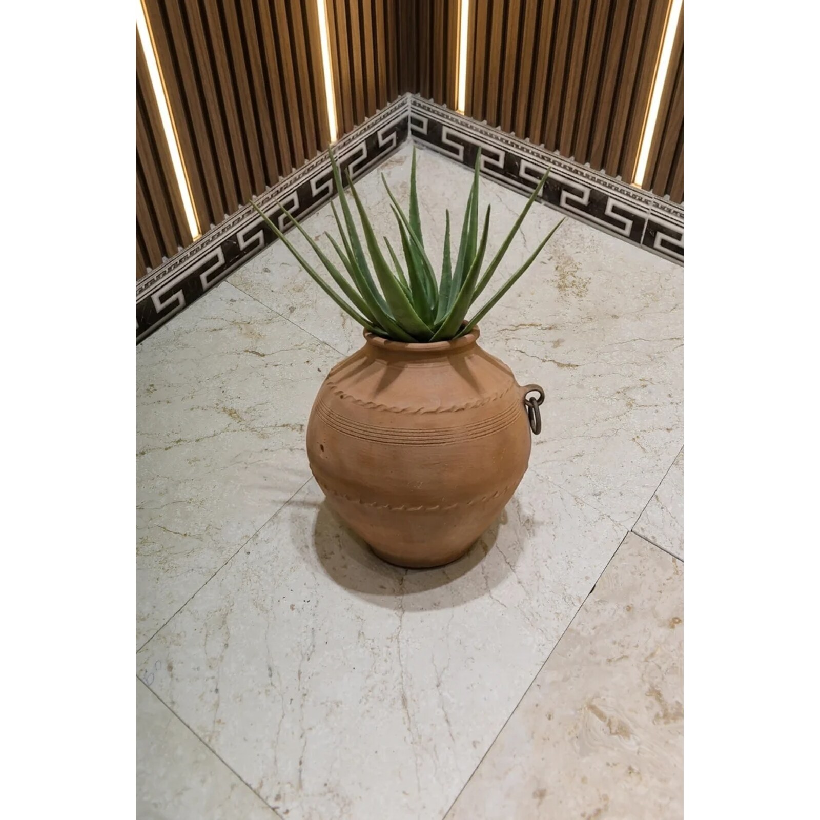 Crema Aurora – Brushed 60 Grit