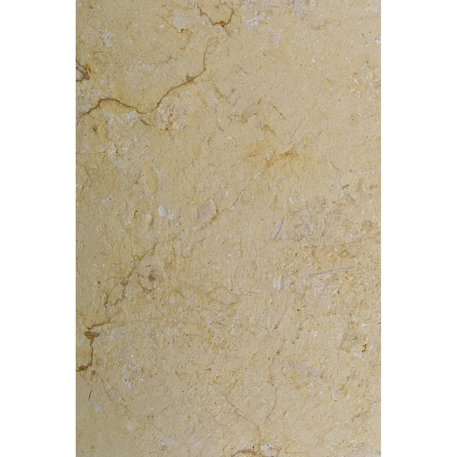 Ambra Reale – Brushed 24 Grit