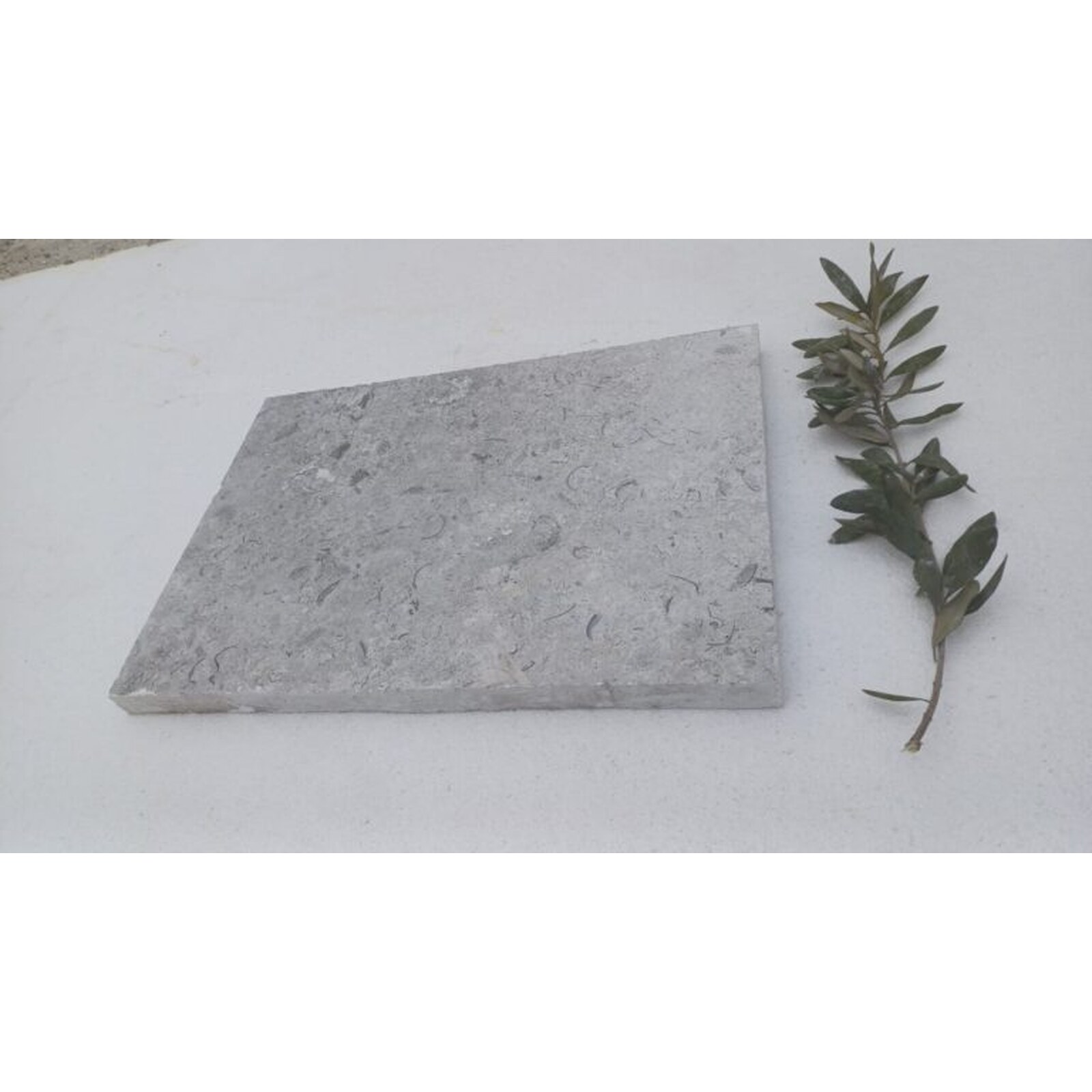 Blue Grey Fossil Limestone Pavers