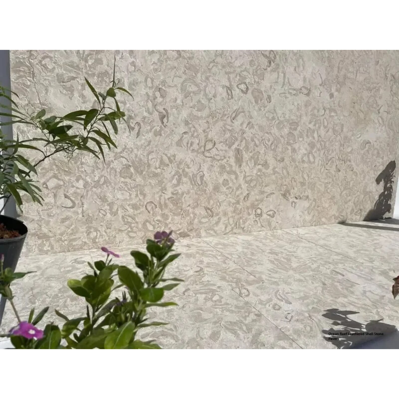 Ocean Reef Leathered Shell Stone Pavers
