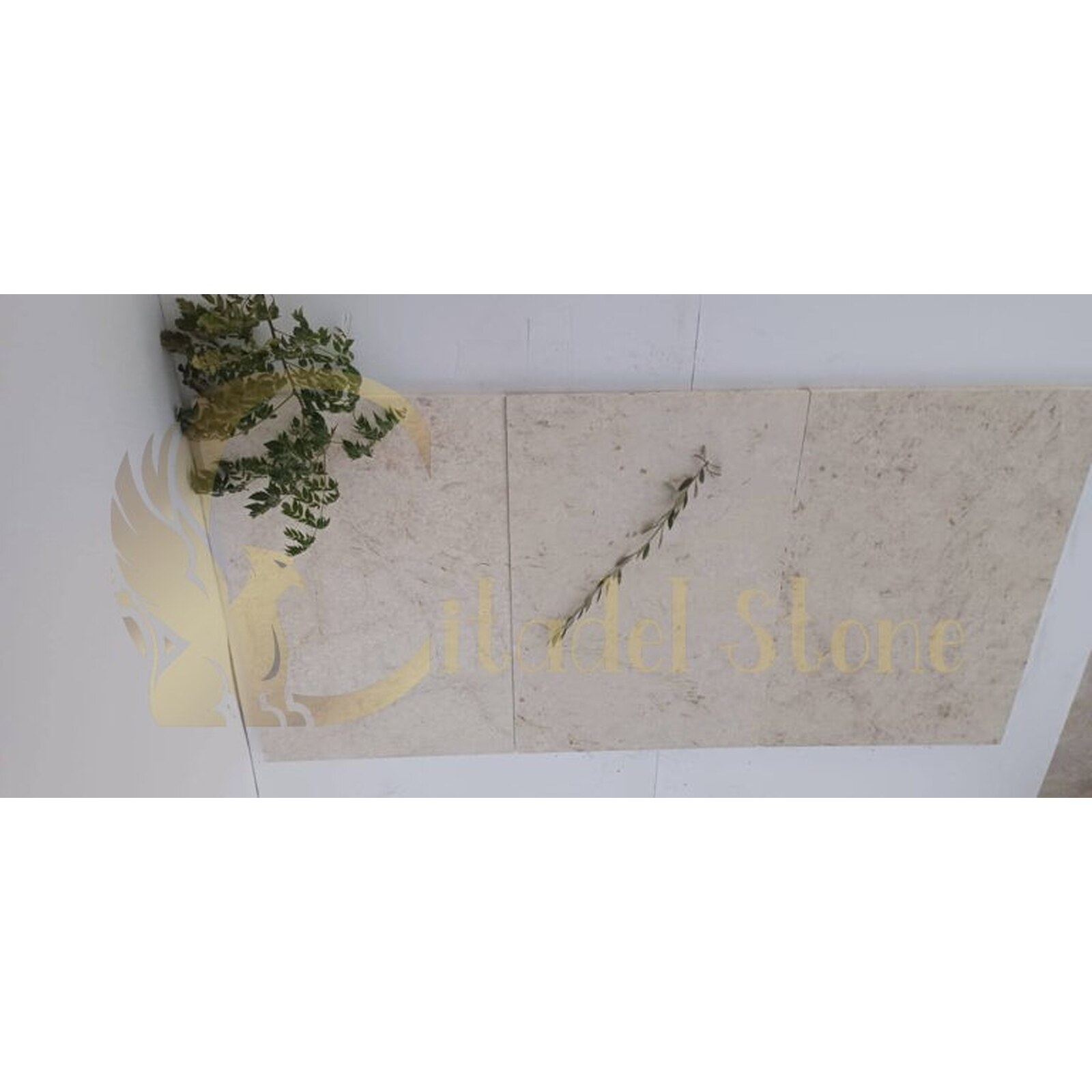 White Limestone Polished & Filled