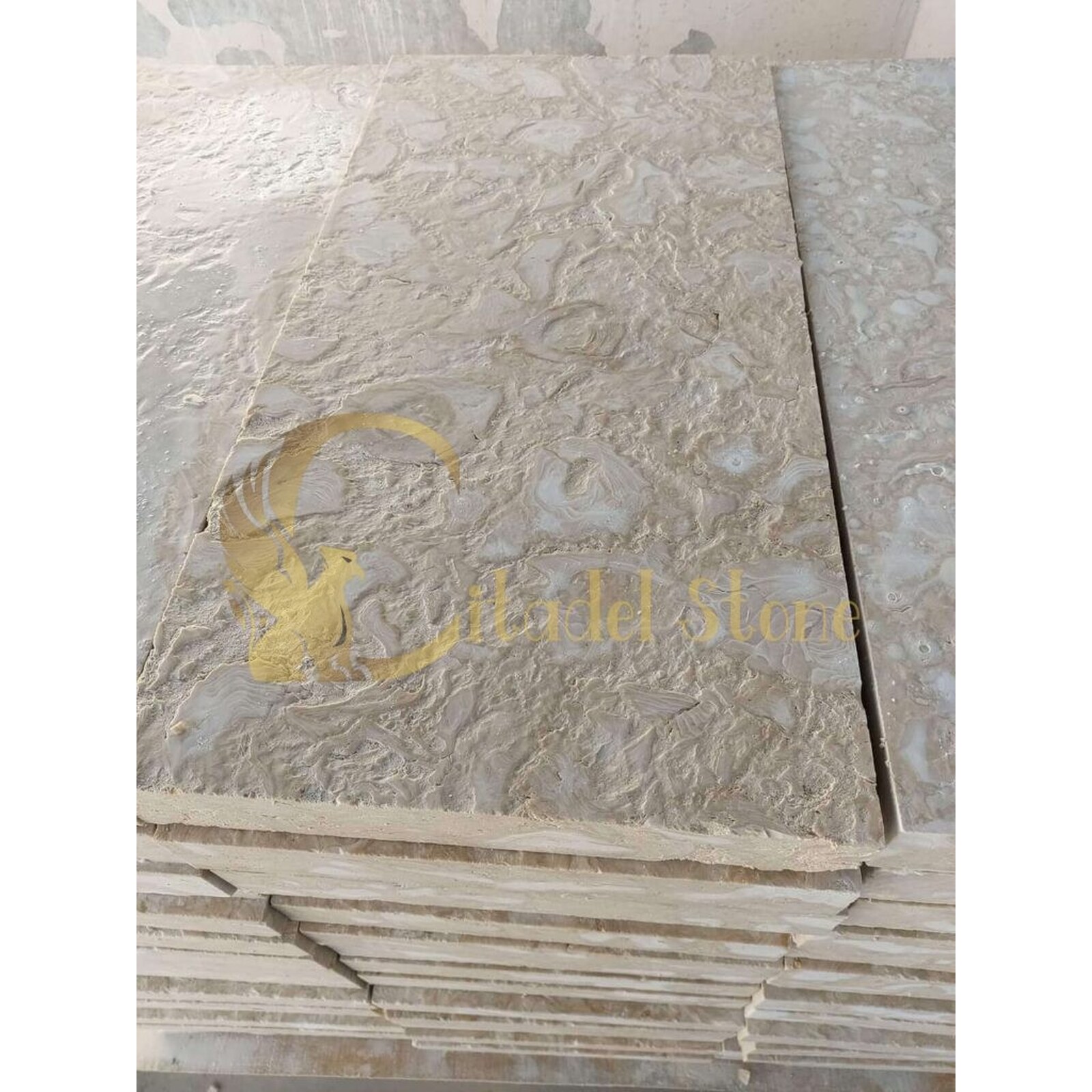Ocean Reef Shellstone – Antique 24″ × 12″