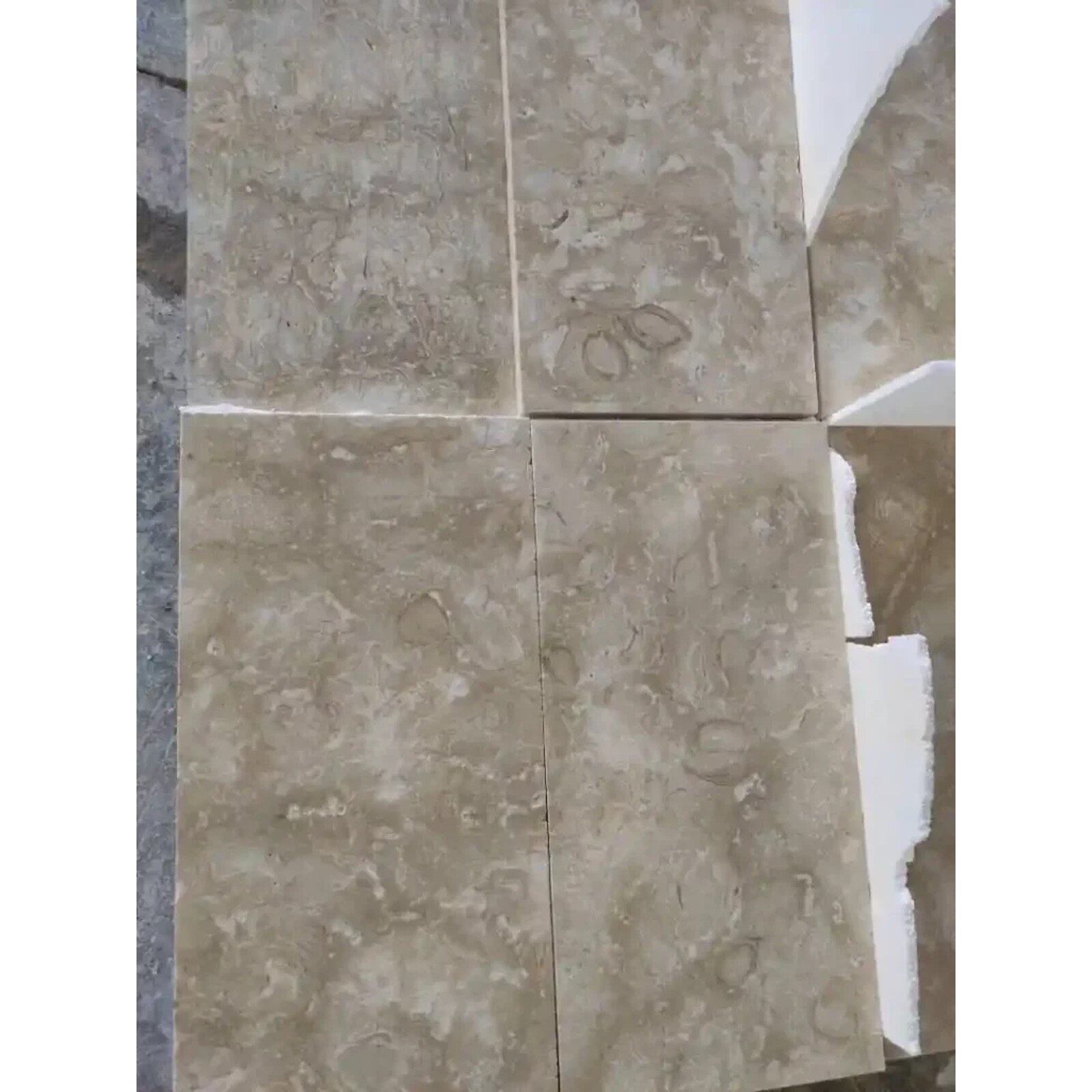 Ocean Reef Shellstone – Polished