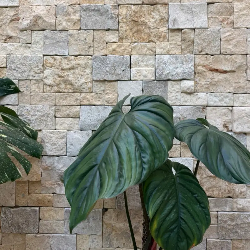 Warm Golden Cream Limestone Stacked Stone Panels