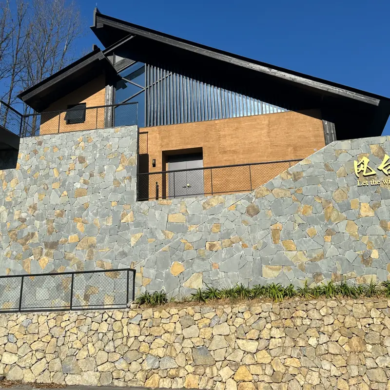 Grey Crazy Stone Cladding for Villa Exterior & Decorative Accent Wall
